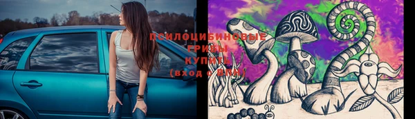 индика Верхнеуральск
