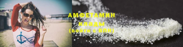 ПСИЛОЦИБИНОВЫЕ ГРИБЫ Верея