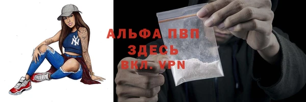 ПСИЛОЦИБИНОВЫЕ ГРИБЫ Верея